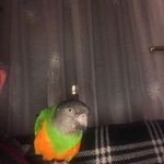 Jack Arrowsmith - @jack.arrowsmith.77 - Instagram