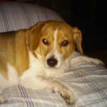 Jack Arsenault - @jackarsenault_backup2 - Instagram