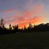 Trizy_bl9 - @jack.ass765 - TikTok