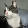 jackasher81 - @jackasher81 - TikTok