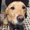 Jack Atkinson - @jack.atkinson8 - TikTok