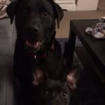 Jack & Aubrey - @adventuresofjackandaubrey - Instagram
