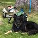 Jack Aubrey - Facebook
