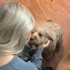 Jack Augustine - @jack.augustine_ - TikTok