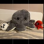 Jack & Calum (+ Tigrou) <3 - @les_aventures_de_jack_et_calum - Instagram