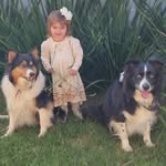 Aventuras de Jack, Honey & Bella 🐾🐾🍼 - @aventurasdejackhoneyebella - Instagram