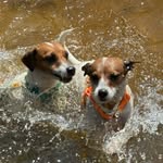 Frida|Greta - @jacks_aventureiras - Instagram