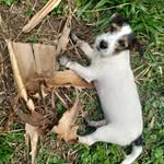 @jack.aventuras - Instagram