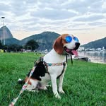 JACK AVENTUREIRO - @jackaventureirorio - Instagram