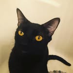 Jack Avina - @jackavina - Instagram