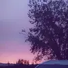 Jacky Avina - @jacky.avina - TikTok
