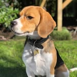 Jack - @jackavital - Instagram