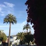 Jack Ayoub - @jackayoub3030 - Instagram