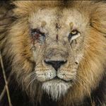 @jacka_youb - Instagram