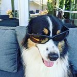 @jack.babels - Instagram
