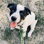 Бакс - @backs_jack - Instagram