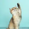 jackbader617 - @jackbader617 - TikTok