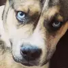 Jack Baggett592 - @jackbaggett - TikTok