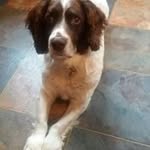 Jack Balchin - @balchinjack - Instagram