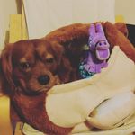 Jack Balmer - @balmer.jack - Instagram