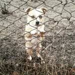 jack balogh - @baloghjack - Instagram