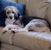 Jack Bamberger - Facebook