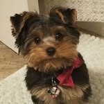 Jack Bank - @tige09293 - Instagram
