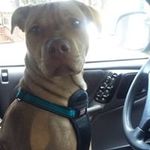 Jack Banner - @jack.banner.5055 - Instagram