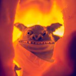 Jack Banter - @jackbanter - Instagram