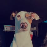 Jack Barefoot - @good.boy.jack.jack - Instagram