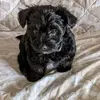 Jackson Barefoot - @jackson.barefoot - TikTok