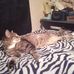 Jack Barksdale - Facebook