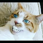 Jackson Barksdale - @jacksonbarksdale - Instagram