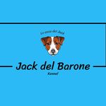 Jack del Barone - Allevamento Jack Russell Terrier - @jackdelbarone - Instagram