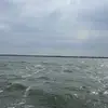 Jackbarragy - @jack_barragy - TikTok