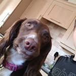 Jack Barrass - @jackbarrassbarrass - Instagram