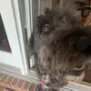 Please follow me - @jackbarrick5 - TikTok