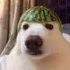 jackbarstow12 - @jackbarstow12 - TikTok