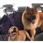 JACK _ BARTHÔ - @jack_bartho - Instagram