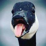 Jack Barth - @jack.barth.3 - Instagram