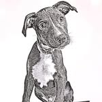 Jack Barth🐾 - @jackbarth_ - Instagram