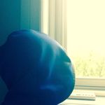 Jack Barth - @jacksonroybarth - Instagram