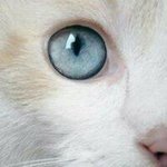 Jack Barthel - @jacknphylis - Instagram