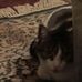 Jack Bartolucci - Facebook