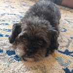 Jack Basile - @jack_basile_2012 - Instagram
