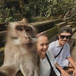 Jack Bastin - @jack_bastin - Instagram