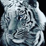 Jack Bath - Facebook