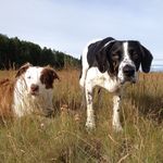 Jackie - @jackie_bathgate - Instagram