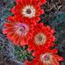 Jack Burmeister - Facebook