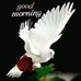 Jack Baur - Facebook